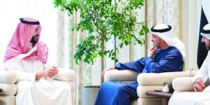 رئيس الدولة وخالد بن سلمان يبحثان تعزيز التعاون