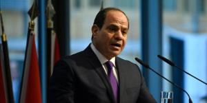 السيسي يستعرض الجهود المصرية المستمرة لوقف إطلاق النار في غزة وإدخال المساعدات الإنسانية