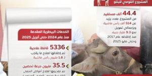 مجلس الوزراء: توفير الأضاحي واللحوم بأسعار مناسبة لتلبية احتياجات المواطنين «إنفوجراف»