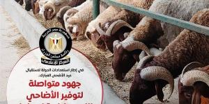 مجلس الوزراء: تكثيف جهود توفير الأضاحي واللحوم بأسعار مناسبة للعيد