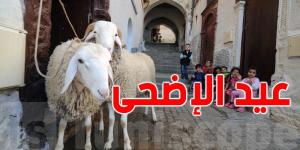 هل نحمي صغارنا من مشهد الذبح... أم نعلّمه معنى القربان؟