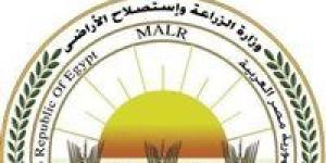 الذبيح بالمجان.. الزراعة: المجازر الحكومية تستقبل أكثر من 9800 أضحية خلال أول أيام العيد