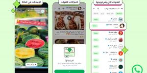 لأول مرة .. واتساب تبدأ عرض الإعلانات في تبويب “التحديثات”