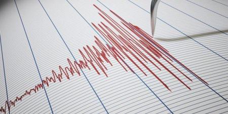 هزة أرضية بقوة 4.6 درجة تضرب تشيلي