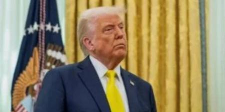 غضب ديمقراطي بسبب "قطر والقصر الطائر".. وترامب: فاشلون من طراز عالمي