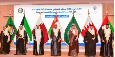 الإمارات تقترح وضع معايير ملزمة لمنصات التواصل العالمية تضمن صون القيم والهوية الخليجية