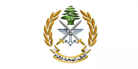 الجيش: دهم وتوقيف أشخاص لارتكابهم جرائم مختلفة