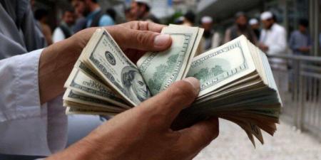 سعر الدولار مقابل الجنيه المصري اليوم السبت 17 مايو 2025