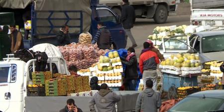 3828 طنا من الخضار والفواكه ترد للسوق المركزي اليوم
