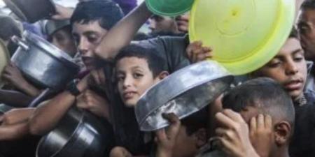 رئيس الوزراء القطري يبحث هاتفيا مع مسئولة أوروبية تطورات الأوضاع في غزة