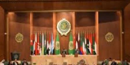 بعثة جامعة الدول: نسعى لتعليق عضوية إسرائيل في الأمم المتحدة