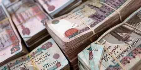 قبل اجتماع حسم الفائدة غدًا.. تفاصيل قرارين لـ البنك المركزي خلال 2025