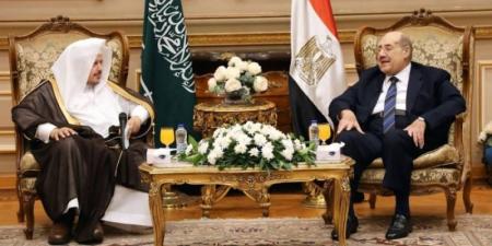 آل الشيخ يلتقي رئيس مجلس الشيوخ المصري