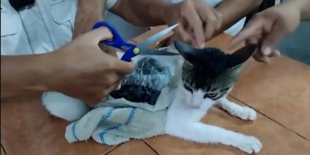 توقيف مهرب مخدرات لايخطر على بال