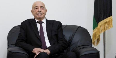 رئيس المخابرات المصرية يلتقي عقيلة صالح ويجدد دعم القاهرة للحل التوافقي في ليبيا