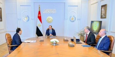 الرئيس السيسى يؤكد على ضرورة استمرار جهود تعزيز إنتاج البترول والغاز محليا