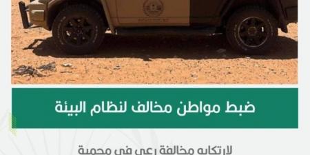 ضبط مواطن خالف نظام البيئة بالرعي في محمية