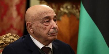 رئيس المخابرات يلتقي عقيلة صالح ويؤكد دعم مصر للحل الليبي  الليبي التوافقي