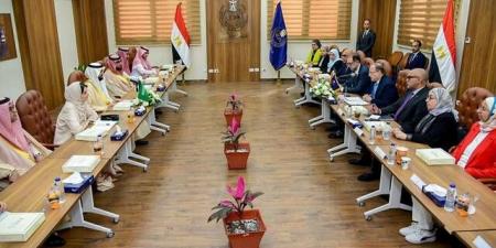 مصر والسعودية تبحثان تعزيز التعاون في قطاع الدواء