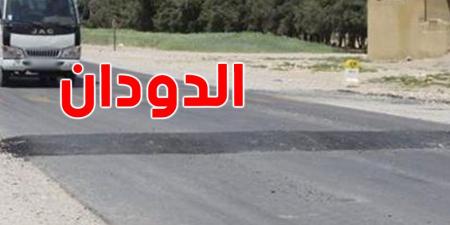 الإدارة العامة للجسور و الطرقات: يوجد 500 ''دودان'' غير مرخص لهم