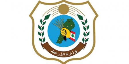 وزارة الزراعة أسفت لحادثة شاطئ الرملة البيضاء: إجراءات فورية لمعالجة ملف الكلاب الشاردة