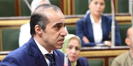 محمود فوزى يؤكد: الإِشراف القضائى على الانتخابات لازال قائما ولم يتم إلغاؤه