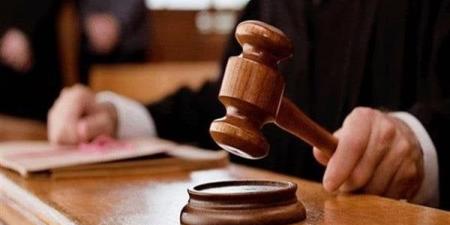 حجز دعوى شطب منتصر الزيات من جدول المحامين لـ 22 يونيو