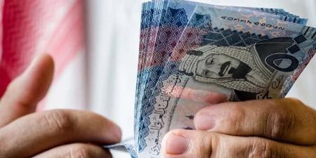 سعر الريال السعودي في مصر اليوم.. الأحد 25 مايو 2025