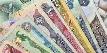 أسعار الدرهم الإماراتي مقابل الجنيه اليوم الخميس 29 مايو 2025 في مصر