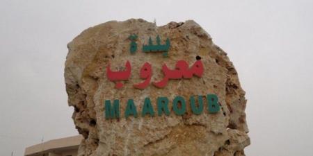 انتخاب حسن فنيش رئيسًا لبلدية معروب وعمار دبوق نائبًا له