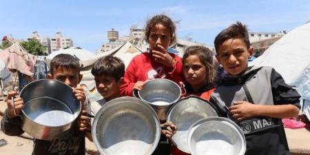 الأمم المتحدة: 100 في المئة من سكان غزة معرضون للمجاعة