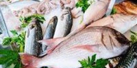أسعار الأسماك اليوم السبت 31 مايو في سوق العبور