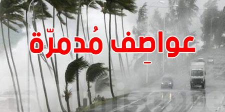الثلج في عز الصيف؟ الإسكندرية تواجه طقسًا لا يُصدق!