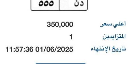 بوابة مرور مصر الإلكترونية تطرح لوحة مميزة بـ 350 ألف جنية