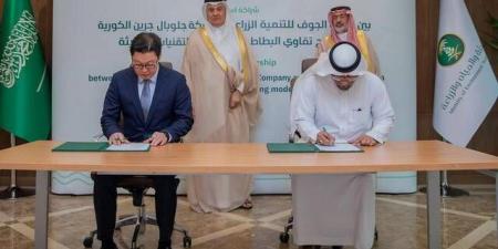 توقيع اتفاقية لتوطين إنتاج تقاوي البطاطس في السعودية