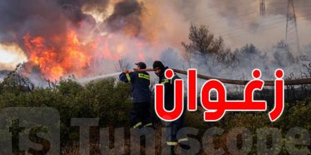 حريق يأتي على 4.5 هكتارات من المحاصيل الزراعية في بئرمشارقة