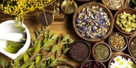 اعشاب مهمة تساعد الطلاب على الحفظ والتركيز