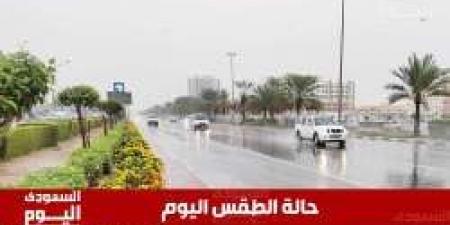 حالة الطقس في السعودية اليوم الإثنين 2 يونيو 2025.. ارتفاع ملحوظ في درجات الحرارة