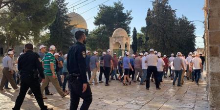 الأردن يدين اقتحام المستوطنين المسجد الأقصى وما رافقه من ممارسات تستهدف تدنيسه