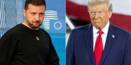 زيلينسكي يطالب ترامب بفرض عقوبات على روسيا: موسكو تسعى لهدنة مؤقتة فقط