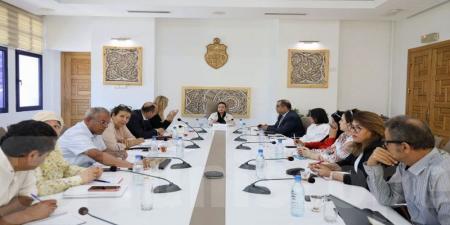 نحو تنقيح الأمر المنظم لمشاركة الأجانب في الأنشطة الثقافية: التفاصيل