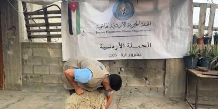 الحملة الأردنية والهيئة الخيرية الهاشمية توزعان لحوم أضاحي في غزة