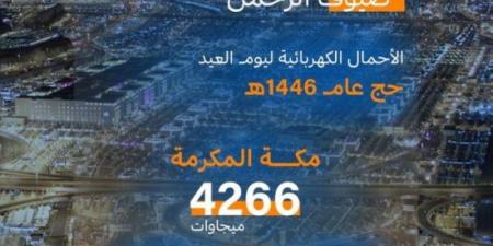 السعودية للكهرباء: يوم العيد يسجل أحمالًا بلغت (351) ميجاوات في مشعر منى