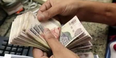 تفاصيل الزيادات الجديدة في الأجور بدءًا من شهر يوليو المقبل