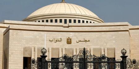 تعديلات تشريعية جديدة.. الدولة تعزز التمثيل النيابي للشباب والمرأة وذوي الهمم