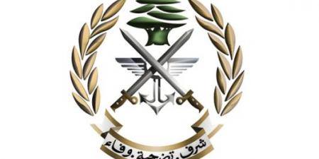 الجيش اللبناني: العثورعلى مسيّرتين اسرائيليتين في حولا وبيت ليف