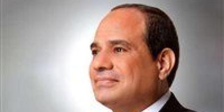 الرئيس السيسي يوافق على محضر تشكيل مجلس التنسيق الأعلى المصري السعودي