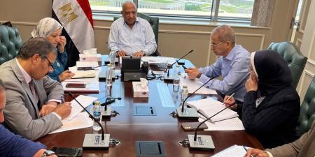 عصمت لرؤساء شركات الكهرباء:رفع الاستعداد لتأمين الشبكة الموحدة