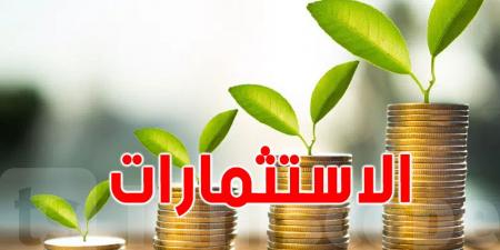 تونس تسجل قفزة ب61% في الاستثمارات الأجنبية المباشرة بين 2020 و2024