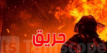 حريقان متزامنان يلتهمان مزارع الحبوب في نفزة وتبرسق بولاية باجة